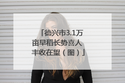 德兴市3.1万亩早稻长势喜人 丰收在望（图）