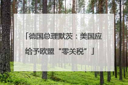 德国总理默茨：美国应给予欧盟“零关税”
