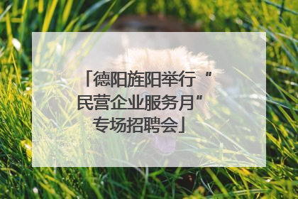 德阳旌阳举行“民营企业服务月”专场招聘会