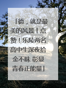 德，就是最美的风景丨点赞！乐陵两名高中生深夜拾金不昧 彰显青春正能量
