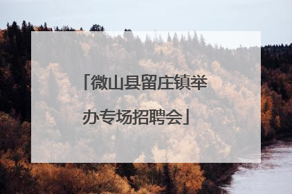 微山县留庄镇举办专场招聘会