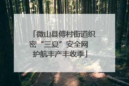 微山县傅村街道织密“三夏”安全网 护航丰产丰收季