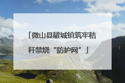 微山县驩城镇筑牢秸秆禁烧“防护网”