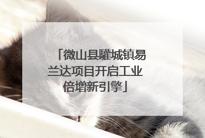 微山县驩城镇易兰达项目开启工业倍增新引擎