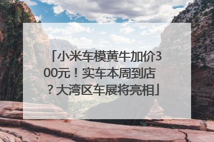 小米车模黄牛加价300元！实车本周到店？大湾区车展将亮相