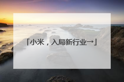 小米，入局新行业→
