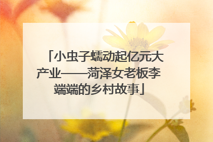 小虫子蠕动起亿元大产业——菏泽女老板李端端的乡村故事