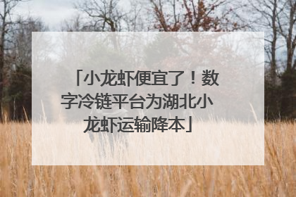 小龙虾便宜了！数字冷链平台为湖北小龙虾运输降本