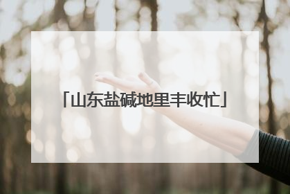 山东盐碱地里丰收忙