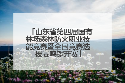山东省第四届国有林场森林防火职业技能竞赛暨全国竞赛选拔赛鸣锣开赛