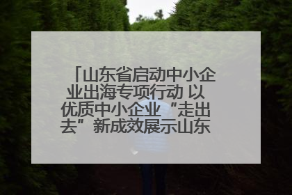 山东省启动中小企业出海专项行动 以优质中小企业“走出去”新成效展示山东产业发展新形象