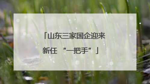 山东三家国企迎来新任 “一把手”