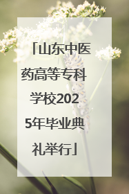 山东中医药高等专科学校2025年毕业典礼举行