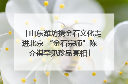 山东潍坊携金石文化走进北京 “金石宗师”陈介祺罕见珍品亮相