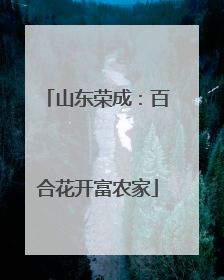 山东荣成：百合花开富农家