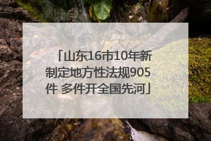 山东16市10年新制定地方性法规905件 多件开全国先河