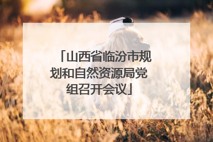 山西省临汾市规划和自然资源局党组召开会议