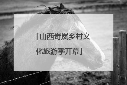 山西岢岚乡村文化旅游季开幕