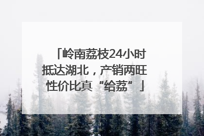 岭南荔枝24小时抵达湖北，产销两旺性价比真“给荔”
