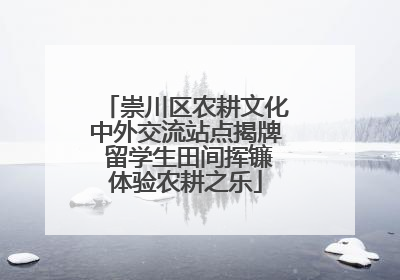 崇川区农耕文化中外交流站点揭牌 留学生田间挥镰体验农耕之乐