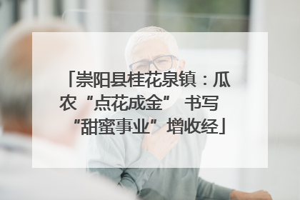 崇阳县桂花泉镇：瓜农“点花成金” 书写“甜蜜事业”增收经