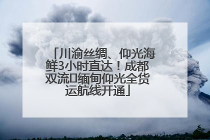 川渝丝绸、仰光海鲜3小时直达！成都双流⇌缅甸仰光全货运航线开通