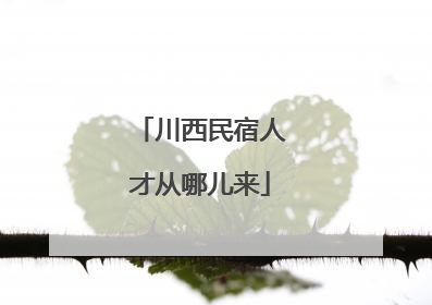 川西民宿人才从哪儿来