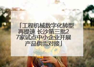 工程机械数字化转型再提速 长沙第三批27家试点中小企业开展产品供需对接