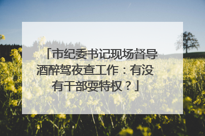 市纪委书记现场督导酒醉驾夜查工作：有没有干部耍特权？