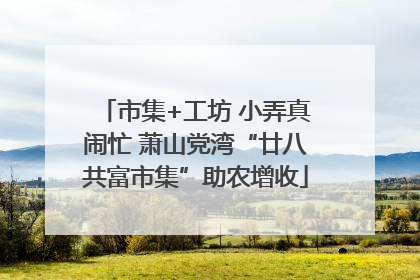 市集+工坊 小弄真闹忙 萧山党湾“廿八共富市集”助农增收