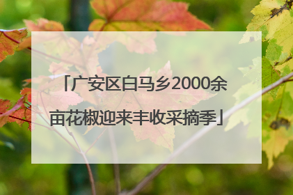 广安区白马乡2000余亩花椒迎来丰收采摘季