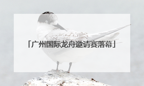 广州国际龙舟邀请赛落幕
