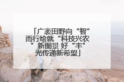 广袤田野向“智”而行绘就“科技兴农”新图景 好“丰”光传递新希望