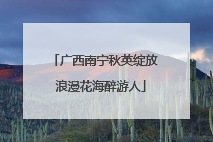 广西南宁秋英绽放 浪漫花海醉游人
