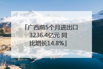 广西前5个月进出口3236.4亿元 同比增长14.8%