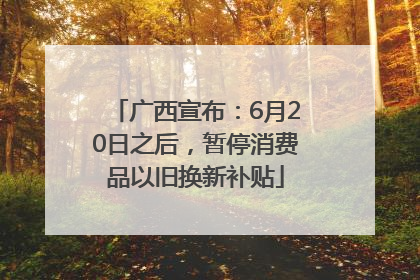 广西宣布：6月20日之后，暂停消费品以旧换新补贴