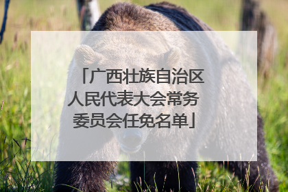 广西壮族自治区人民代表大会常务委员会任免名单