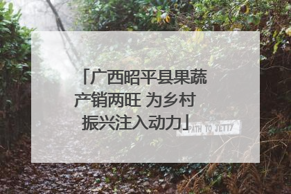 广西昭平县果蔬产销两旺 为乡村振兴注入动力