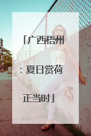广西梧州：夏日赏荷正当时