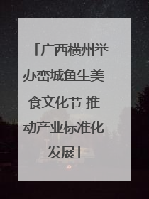 广西横州举办峦城鱼生美食文化节 推动产业标准化发展