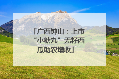 广西钟山：上市“小糖丸”无籽西瓜助农增收