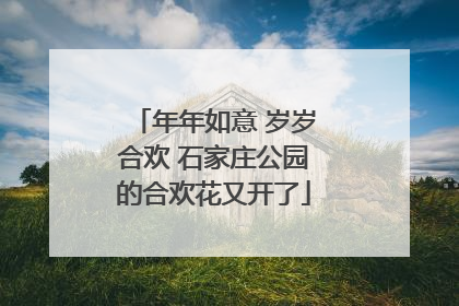 年年如意 岁岁合欢 石家庄公园的合欢花又开了