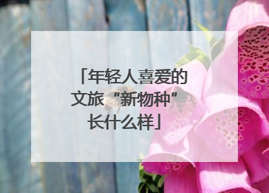 年轻人喜爱的文旅“新物种”长什么样