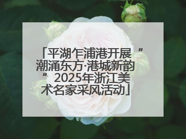平湖乍浦港开展“潮涌东方·港城新韵”2025年浙江美术名家采风活动