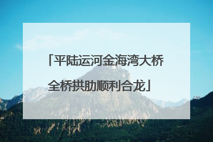 平陆运河金海湾大桥全桥拱肋顺利合龙