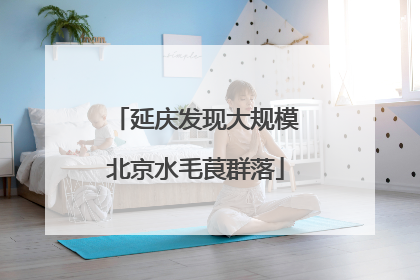 延庆发现大规模北京水毛茛群落
