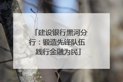 建设银行黑河分行：锻造先锋队伍 践行金融为民