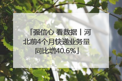 强信心 看数据丨河北前4个月快递业务量同比增40.6%