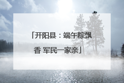 开阳县：端午粽飘香 军民一家亲