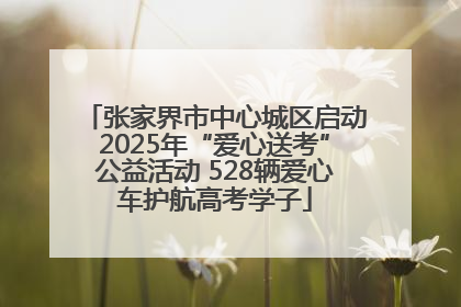 张家界市中心城区启动2025年“爱心送考”公益活动 528辆爱心车护航高考学子